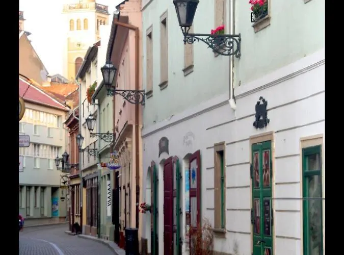 Apartament Ezuest Boroka *