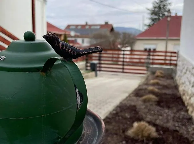 Ezuest Boroka Apartament